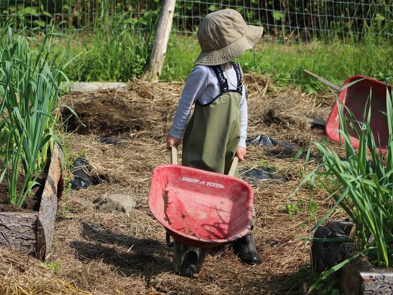 Early childhood students engaged in nature-based sensory activities