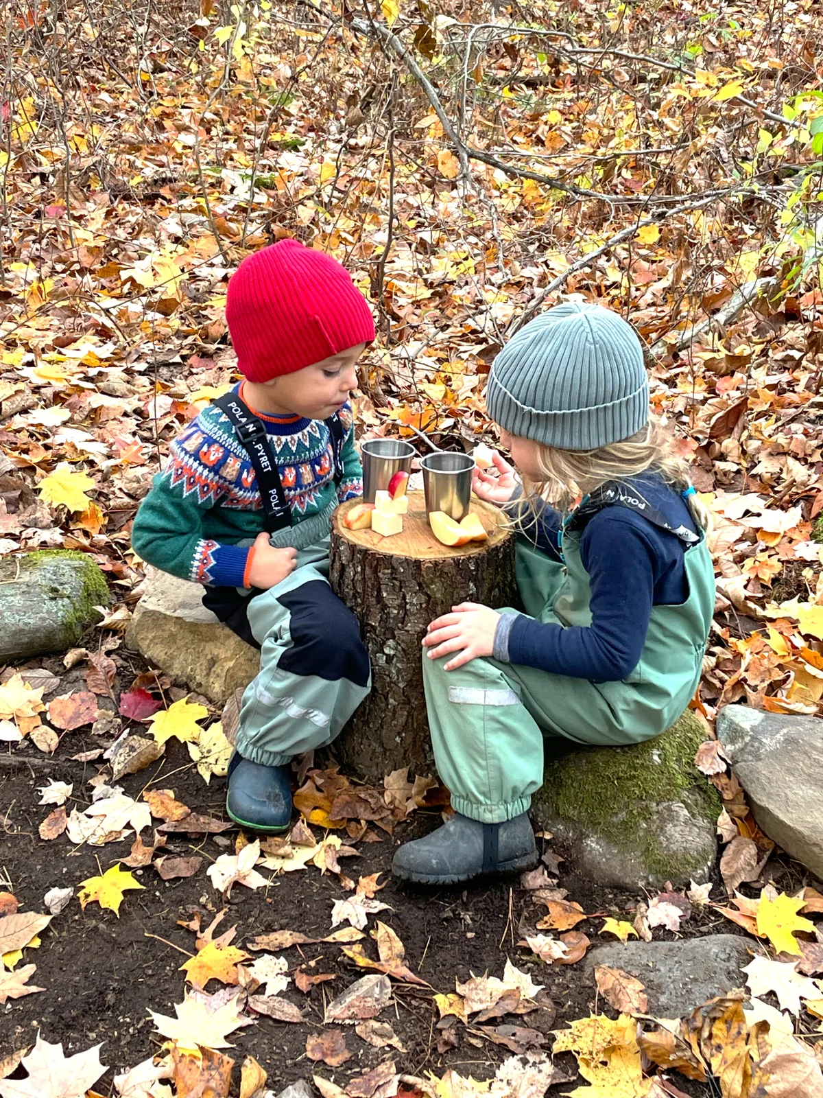 Two children sharing snacks on a tree stump surrounded by autumn leaves