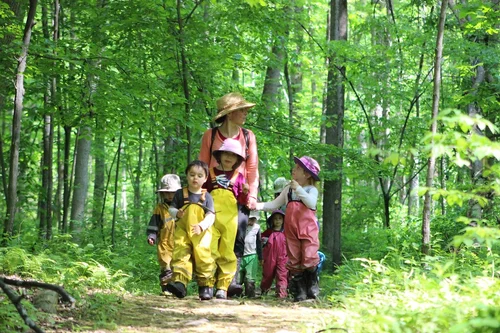 Children exploring nature at the Forest campus summer program