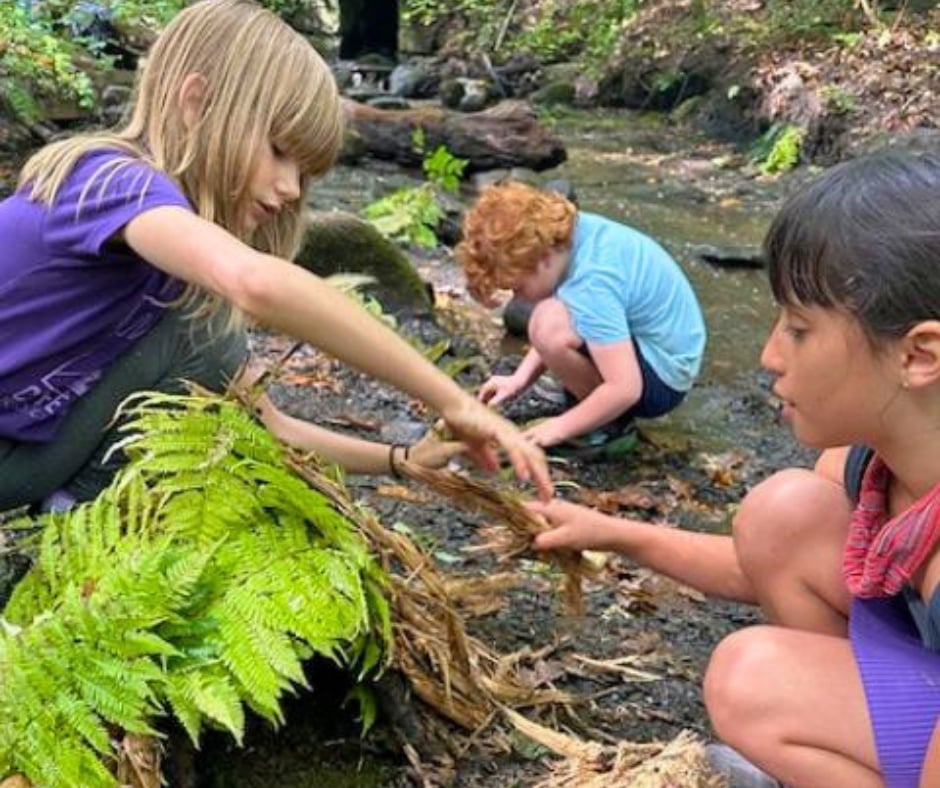 Three students crouched together at the edge of a woodland stream, turning over wet leaves beside a stand of ferns