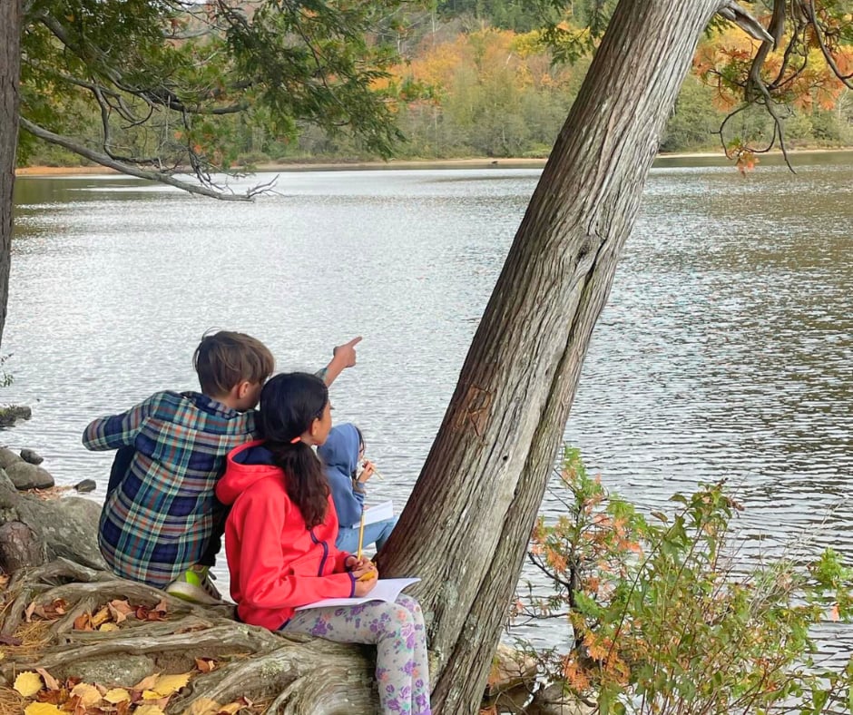 Three students sitting on the roots of a leaning tree at the edge of an autumn lake, sketching and pointing out across the water