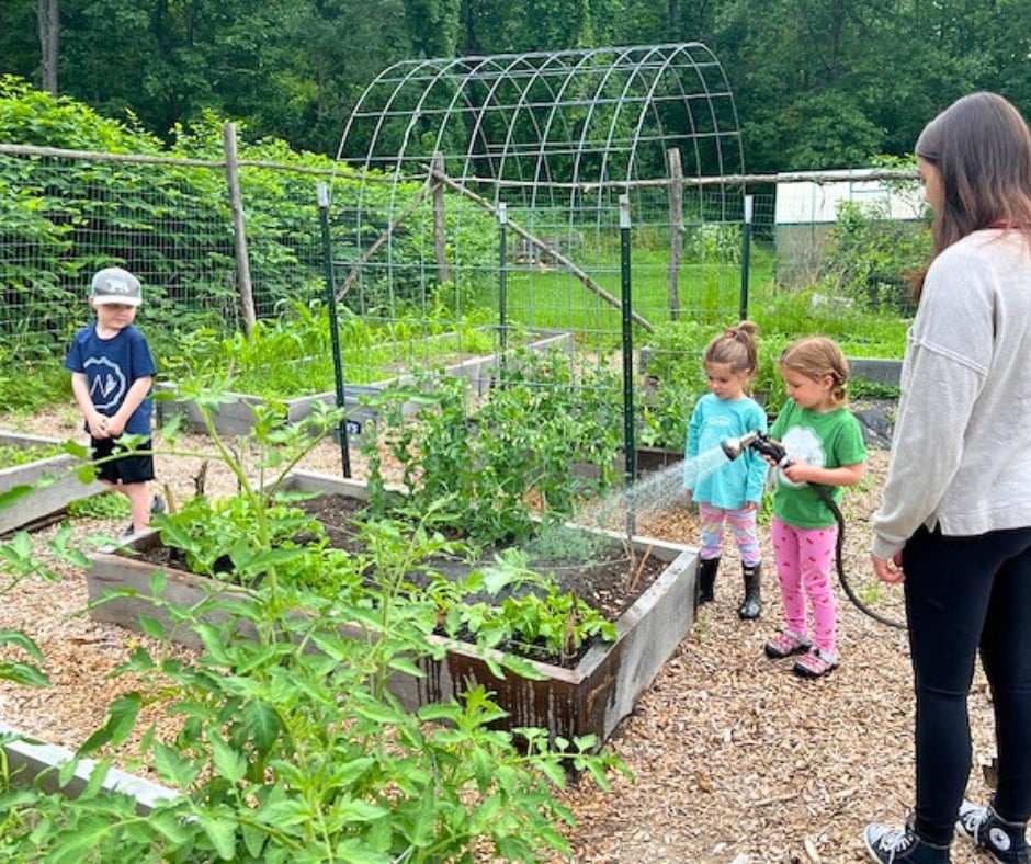 Young children watering the raised beds of the school garden with a hose while a teacher looks on