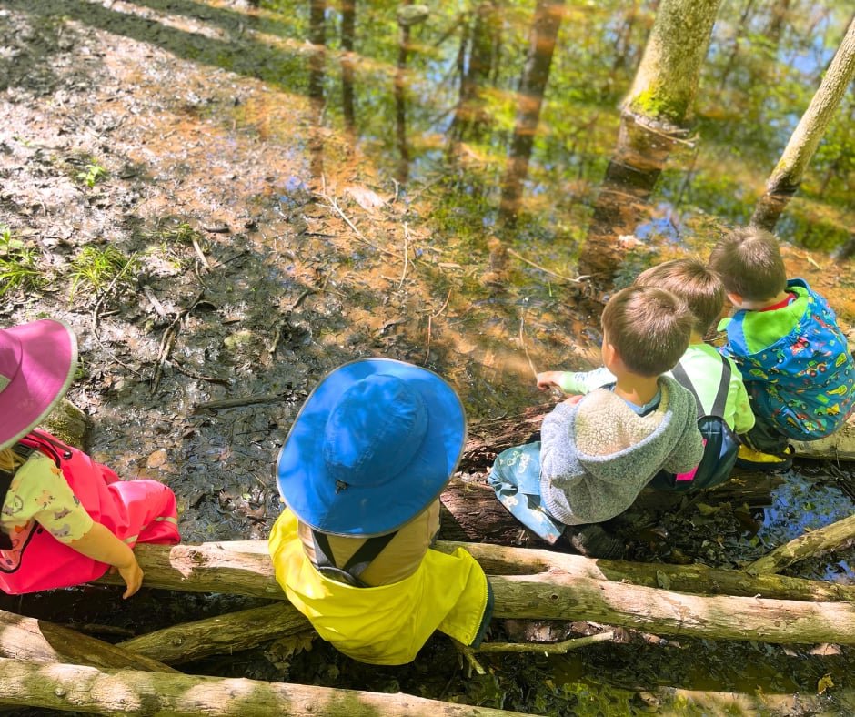 Four young children in rain gear and sun hats sitting on logs at the edge of a woodland pond, watching the water
