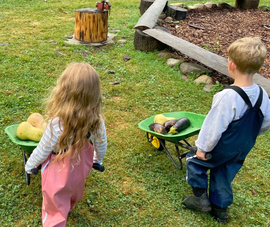 Two young children in overalls pushing small green wheelbarrows of squash and eggplant across the grass