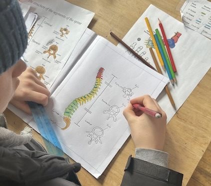 A student illustrating a map with colored pencils