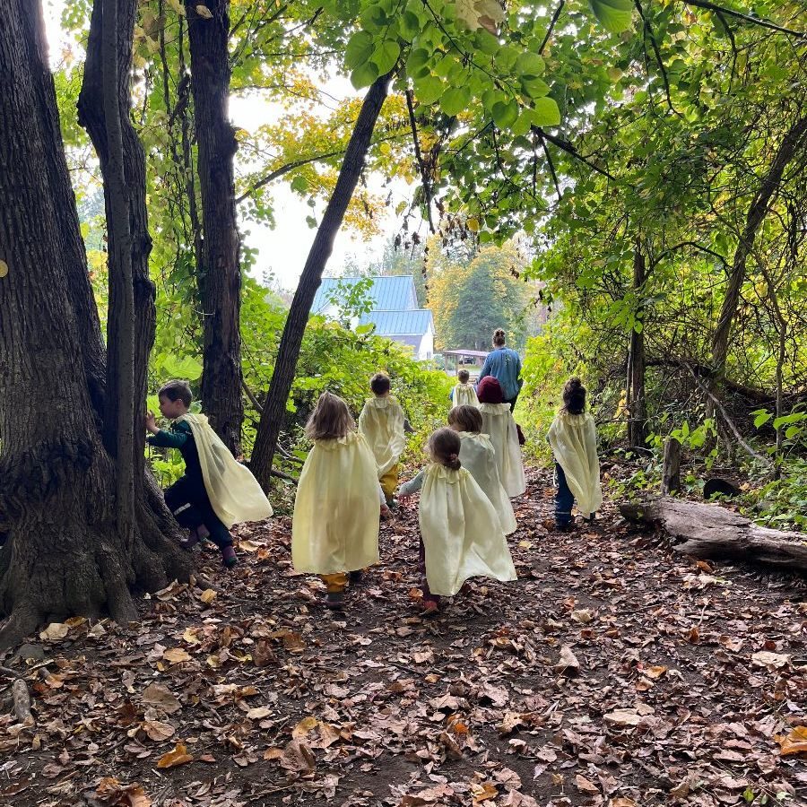 Early childhood students in yellow silk capes walking into the woods for Michaelmas