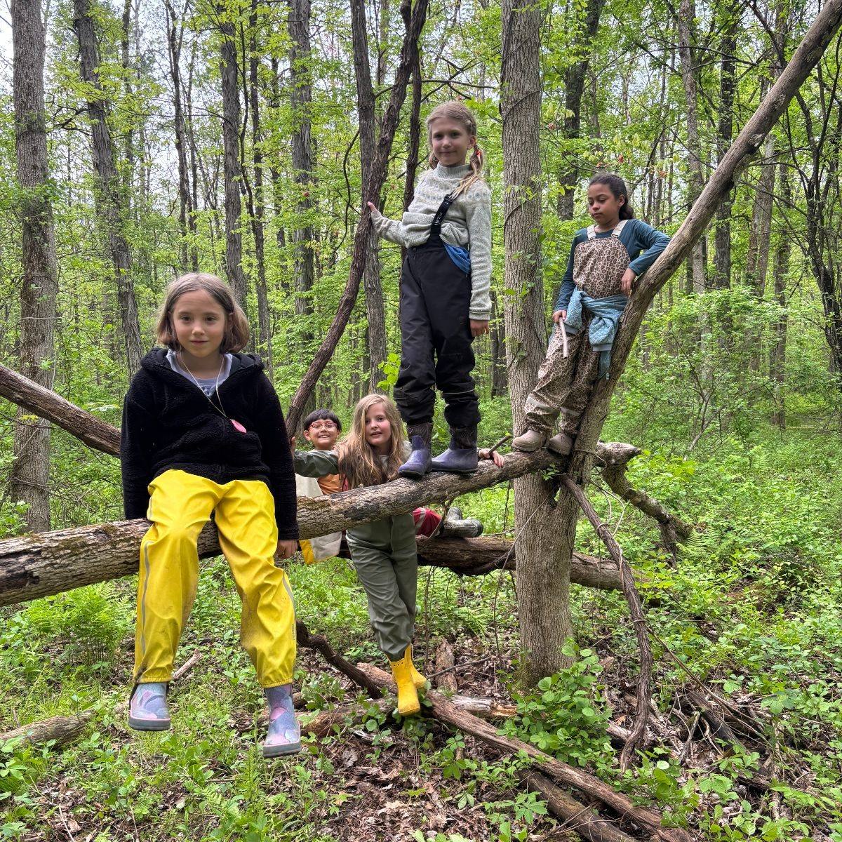 A student balancing on a log in the woods